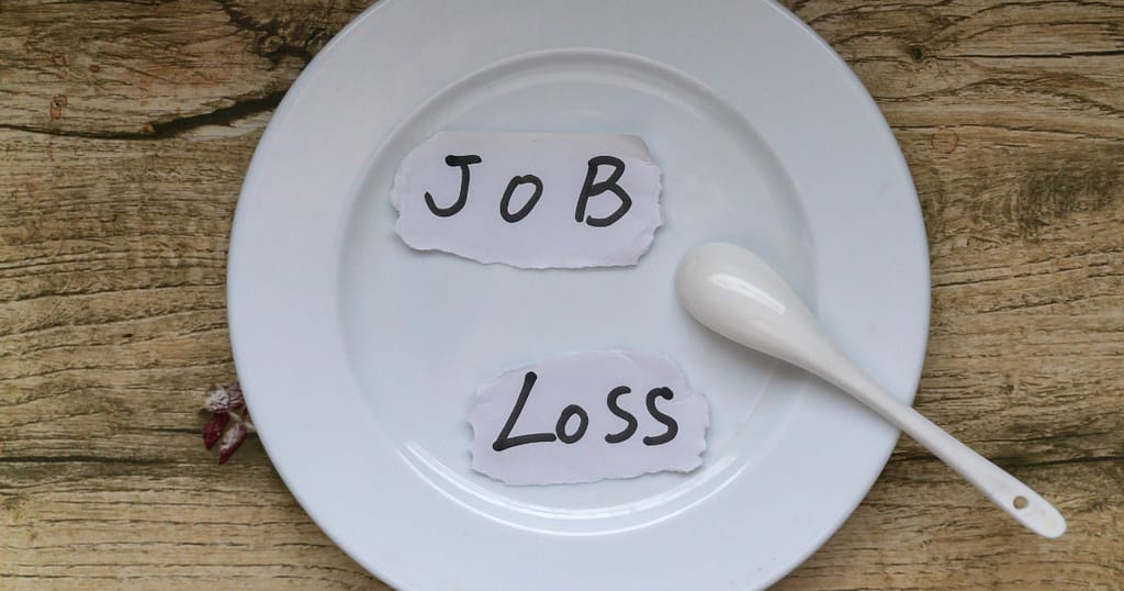 Finance Sub-niches- A Picture Portraying Surviving Job Loss